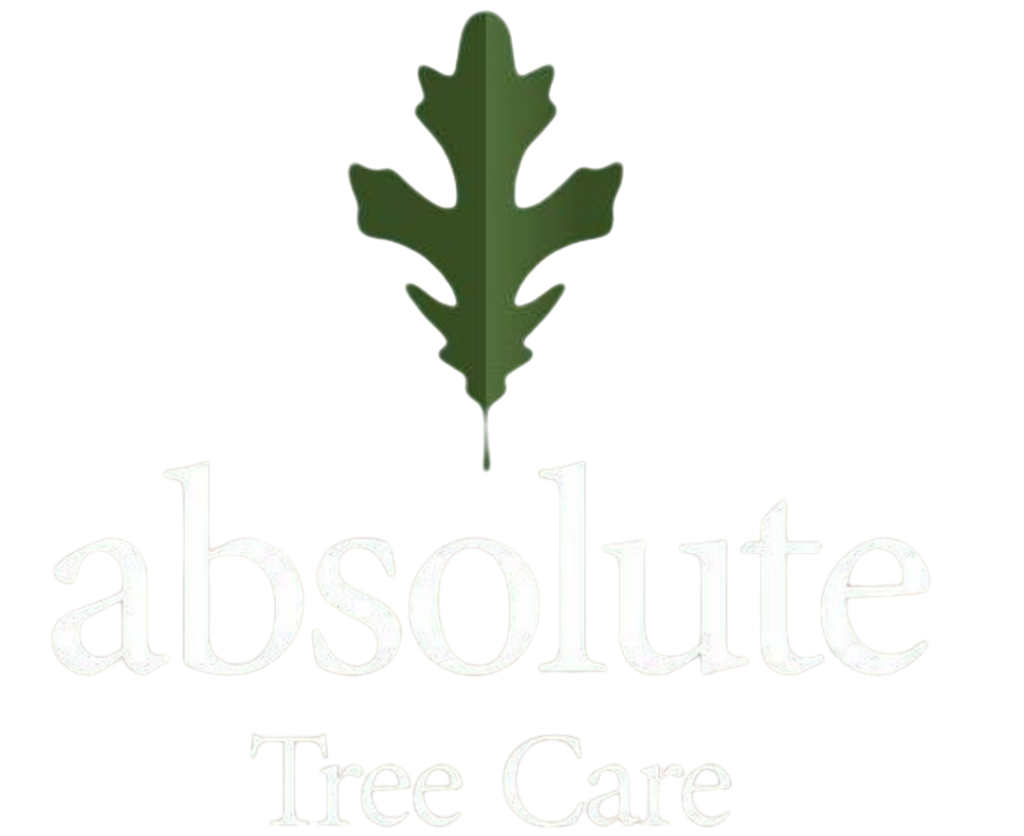 Absolute Tree Care LLP